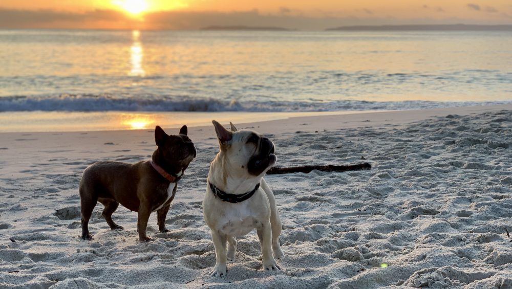 Jervis Bay sunset