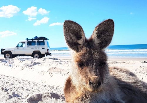 Bribie Island2