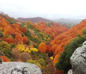 Etna_Autunno