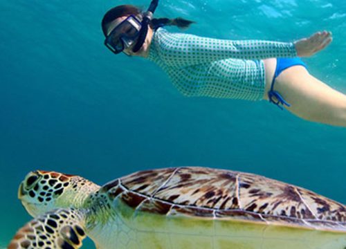 Snorkelling
