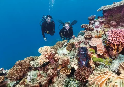 Snorkelling2