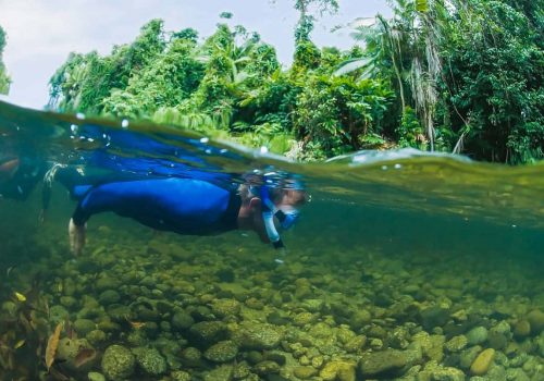Snorkelling3