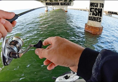 fishing2