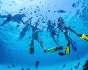 snorkelling-banner
