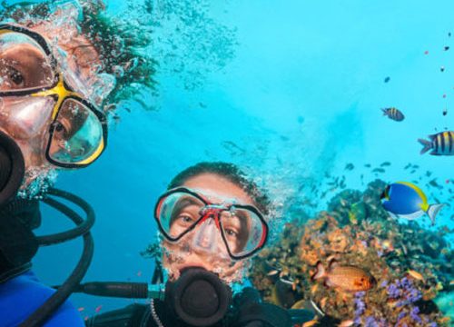 snorkelling2